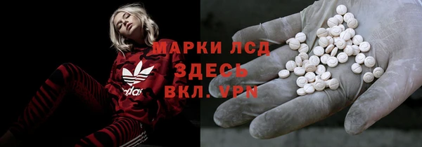 винт Аркадак