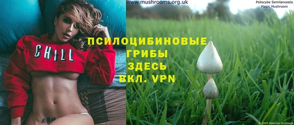 винт Аркадак