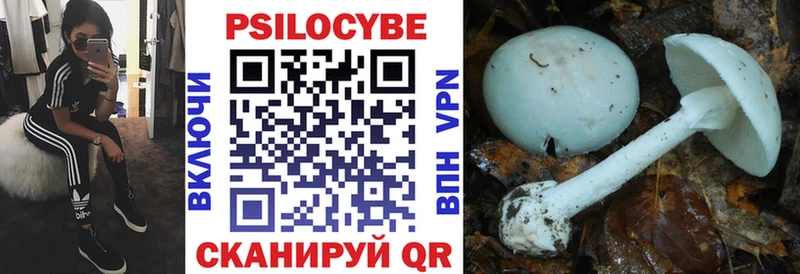 Галлюциногенные грибы мицелий  где найти наркотики  Куса 