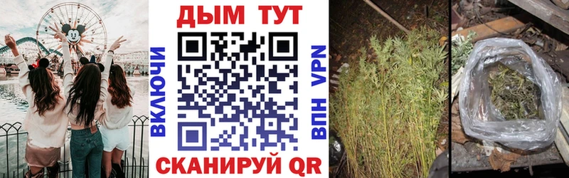 МАРИХУАНА Ganja  купить   KRAKEN зеркало  Куса 